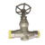 شیر کروی(globe valve)|S.S|DN50|CLASS1500