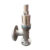 شیر اطمینان(Safety valve)|PN40/40|BAR40|25*40